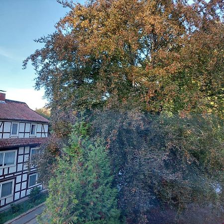 Gemuetliche Ferienwohnung Im Harz バート・グランド エクステリア 写真